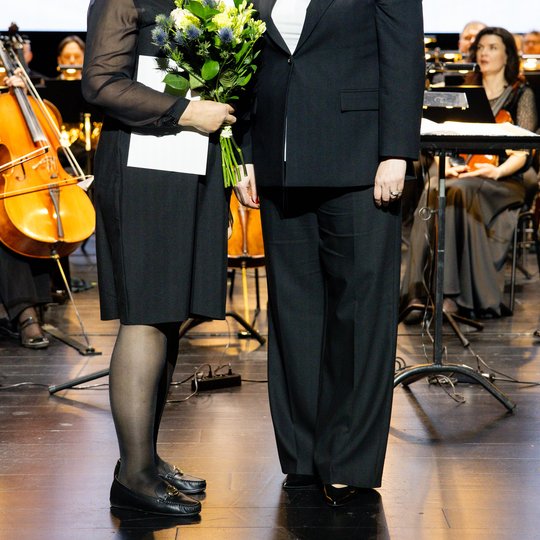 Iliustracija